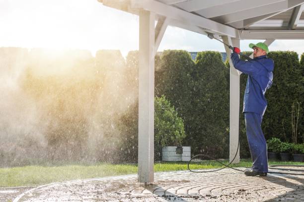 Best Graffiti Removal  in North Haledon, NJ