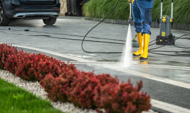 Best Dumpster Area Cleaning  in North Haledon, NJ